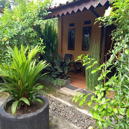 Juda Homestay Banyuwangi  Exterior foto