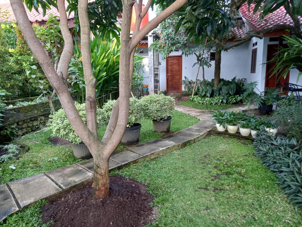 Juda Homestay Banyuwangi  Exterior foto