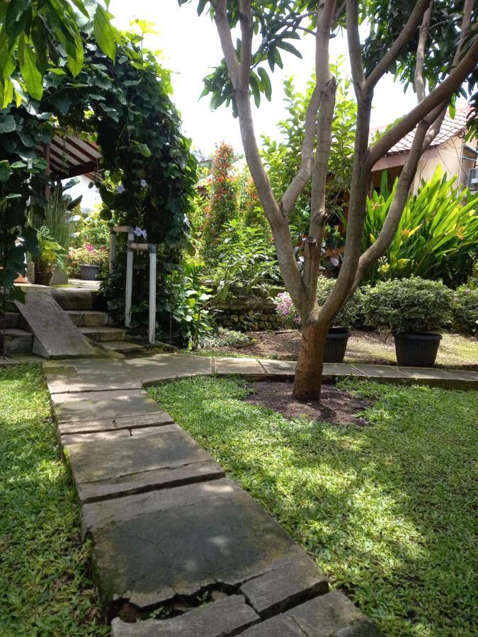 Juda Homestay Banyuwangi  Exterior foto