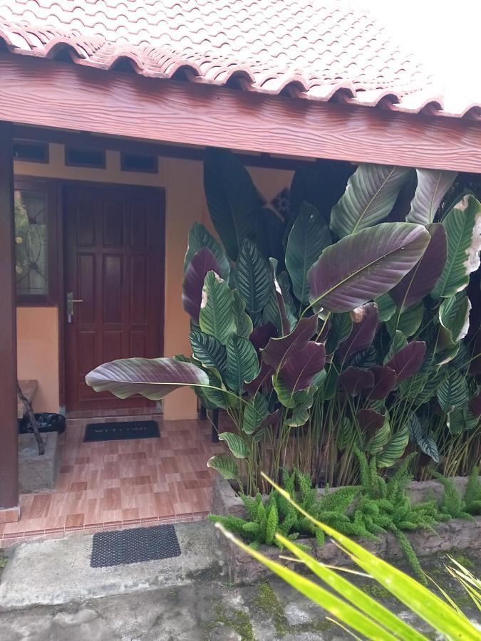Juda Homestay Banyuwangi  Exterior foto